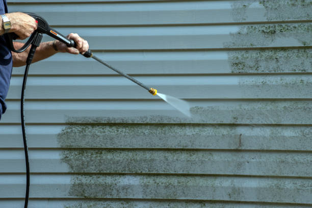Best Graffiti Removal  in Barberton, OH
